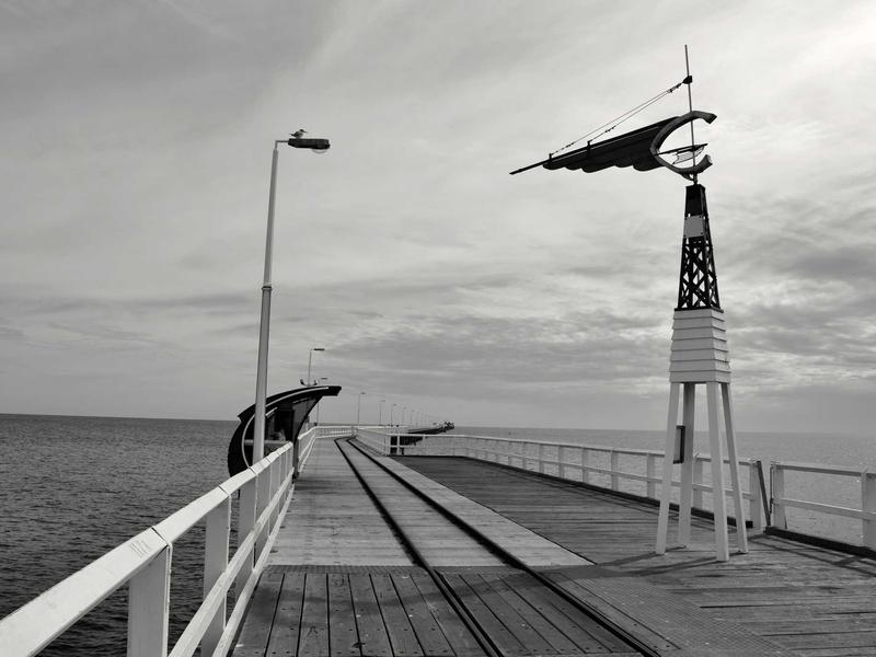 A Beginner's Guide to Fitness