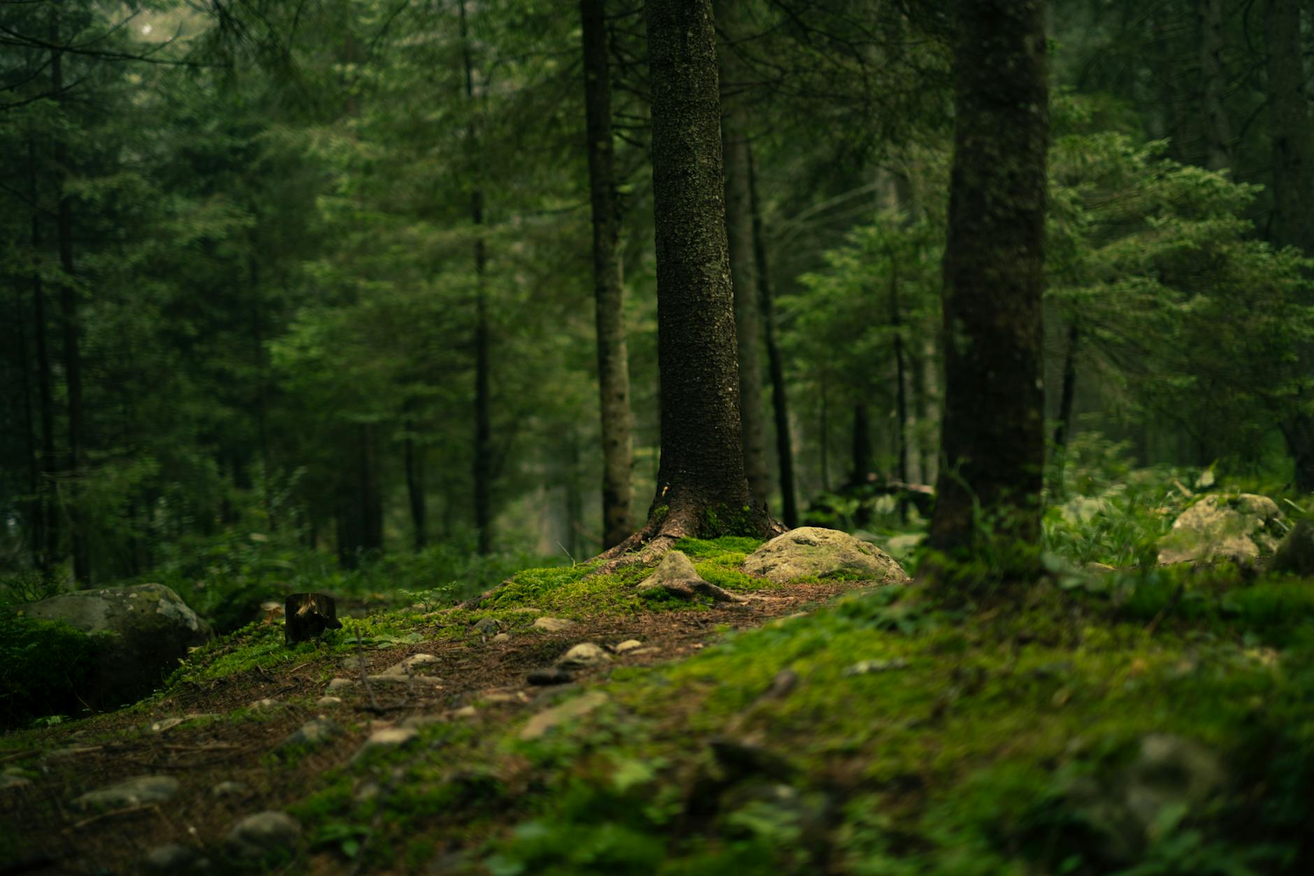 How to Actually Recover From Burnout (Not Just Rest From It)