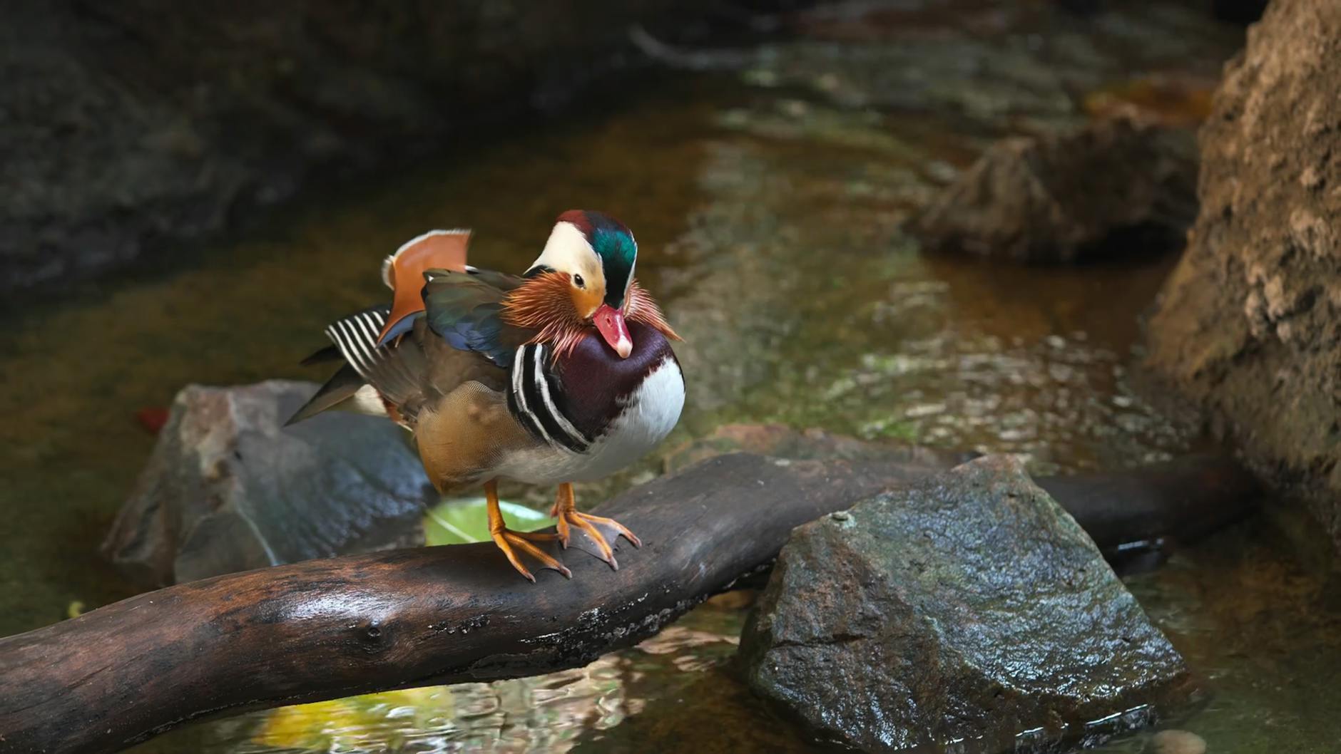 I Deleted Social Media for 60 Days - Here's What My Brain Did