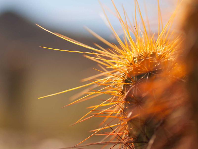 The Ultimate Guide to Mastering Exercise