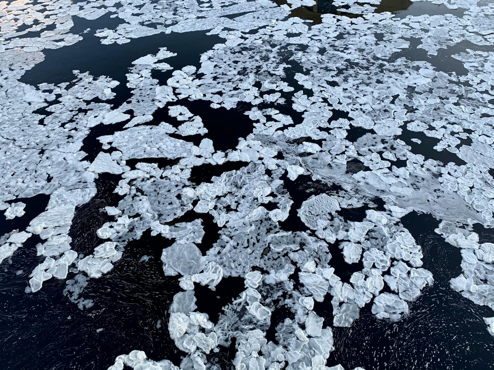 What 6 Months of Cold Exposure Actually Did to My Immune System